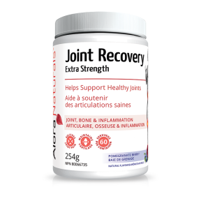 Joint Recovery Pomegranate Berry