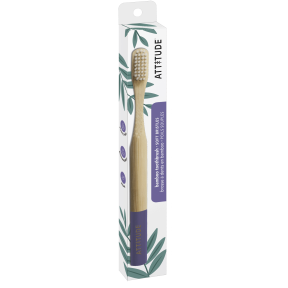 Adult Toothbrush Purple Handle