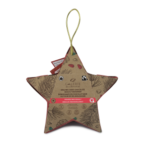 FT Star Ornament DK Choc & Sea Salt