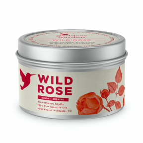 Wild Rose